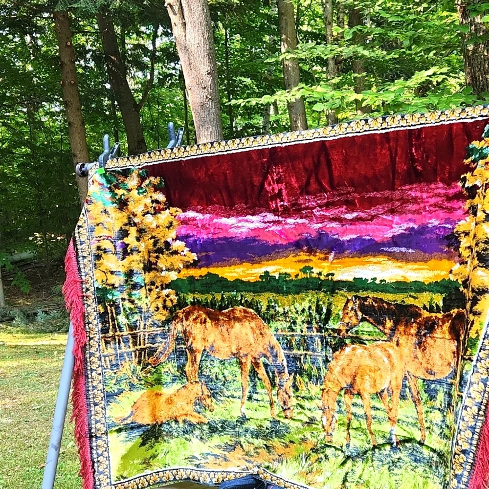 Vintage Large western Equestrian Woven wall hanging or throw rug With Fringe